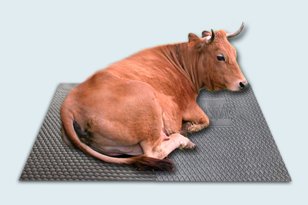 Cow Mats Manufacturer